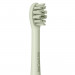 Набор электрических зубных щеток Revyline RL 075 DUO Limpet shell + Lime cream и по всему Узбекистану в интернет-магазине Revyline.uz