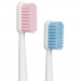 Набор зубных щеток Revyline SM6000 DUO White/Pink + White/Blue и по всему Узбекистану в интернет-магазине Revyline.uz