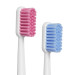 Набор зубных щеток Revyline S6500 Smart Duo, White/Pink + White/Blue и по всему Узбекистану в интернет-магазине Revyline.uz